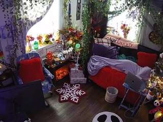 voyeurcam veccasalt 01