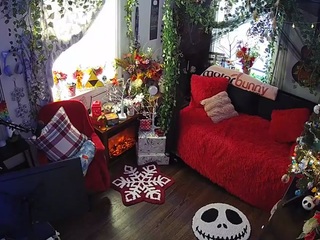 voyeurcam veccasalt 01