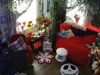 voyeurcam-veccasalt-01