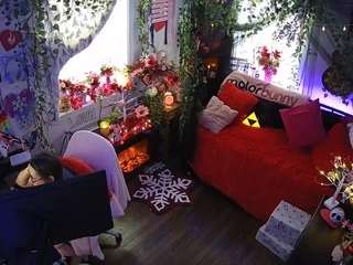 voyeurcam-veccasalt-01