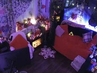 voyeurcam-veccasalt-01