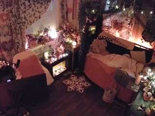 voyeurcam-veccasalt-01 chat