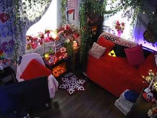 voyeurcam-veccasalt-01