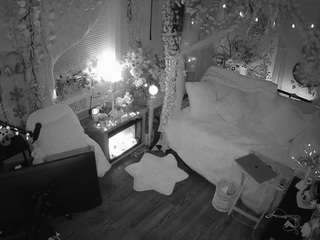 voyeurcam-veccasalt-01