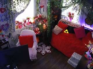 voyeurcam-veccasalt-01 chat