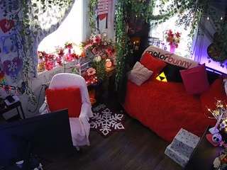 voyeurcam-veccasalt-01 chat