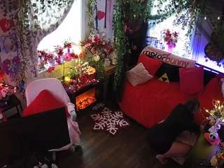 voyeurcam-veccasalt-01 chat