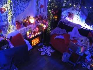 voyeurcam-veccasalt-01