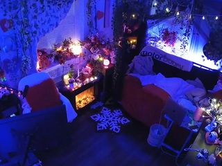 voyeurcam-veccasalt-01