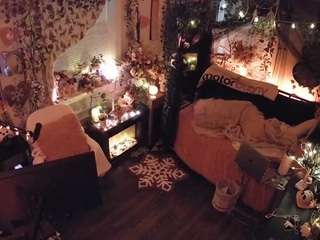 voyeurcam-veccasalt-01