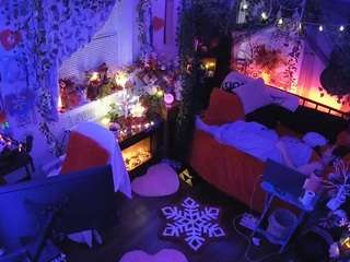 voyeurcam-veccasalt-01 chat