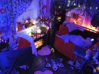 voyeurcam-veccasalt-01