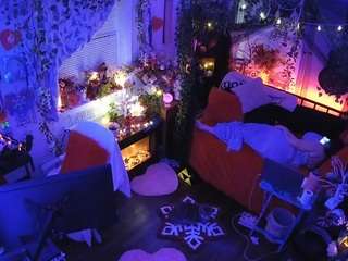 voyeurcam veccasalt 01