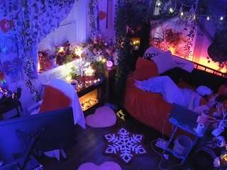 voyeurcam veccasalt 01