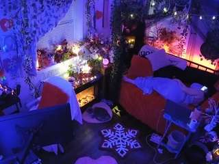 voyeurcam veccasalt 01