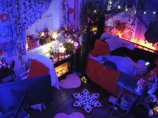 voyeurcam veccasalt 01