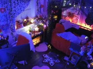 voyeurcam-veccasalt-01 chat