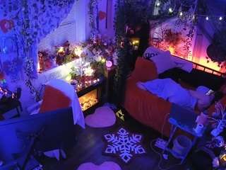 voyeurcam veccasalt 01