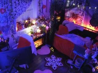 voyeurcam veccasalt 01