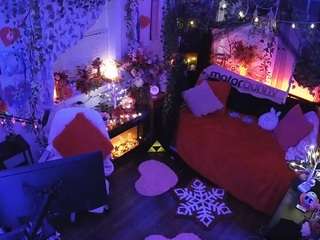 voyeurcam veccasalt 01