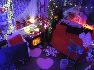 voyeurcam-veccasalt-01