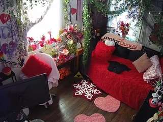 voyeurcam-veccasalt-01 chat