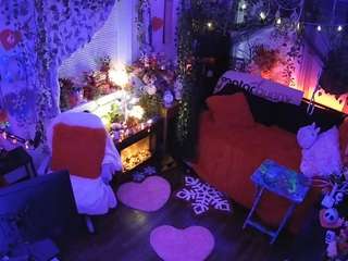 voyeurcam-veccasalt-01