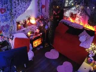 voyeurcam veccasalt 01