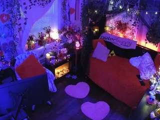 voyeurcam-veccasalt-01