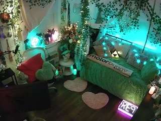 voyeurcam veccasalt 01