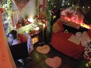 voyeurcam veccasalt 01