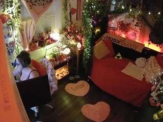 voyeurcam veccasalt 01