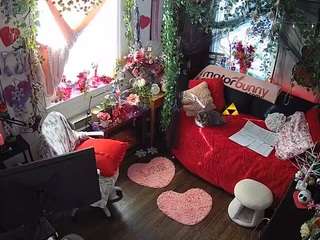 voyeurcam veccasalt 01