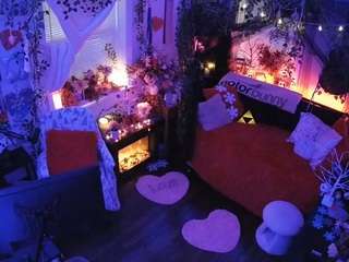 voyeurcam veccasalt 01