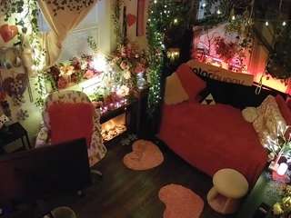 voyeurcam veccasalt 01