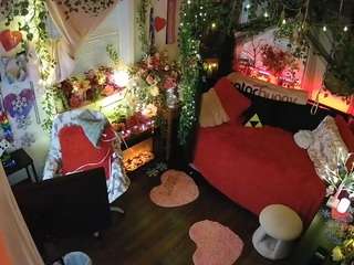 voyeurcam veccasalt 01