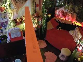 voyeurcam-veccasalt-01