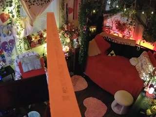 voyeurcam-veccasalt-01's CamSoda show and profile