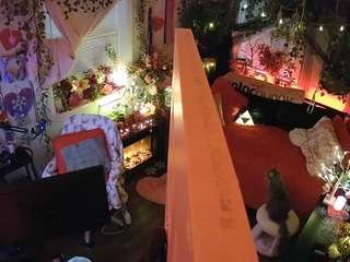 voyeurcam veccasalt 01