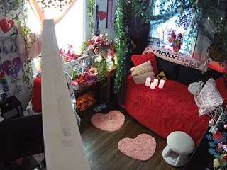 voyeurcam veccasalt 01