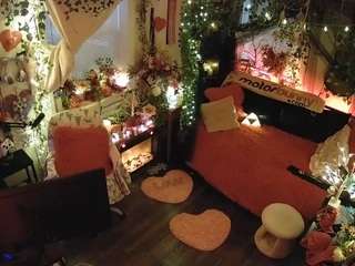 voyeurcam veccasalt 01