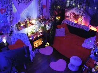 voyeurcam veccasalt 01