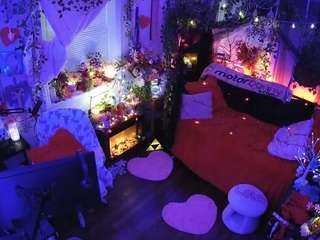 voyeurcam veccasalt 01