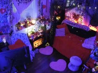 voyeurcam veccasalt 01