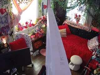 voyeurcam veccasalt 01