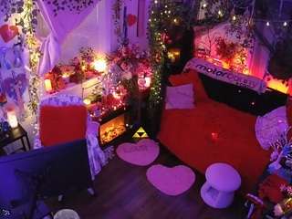 voyeurcam-veccasalt-01