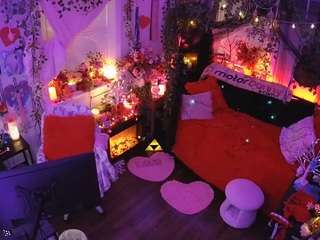 voyeurcam-veccasalt-01