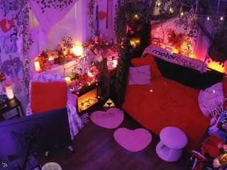 voyeurcam veccasalt 01