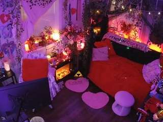 voyeurcam veccasalt 01