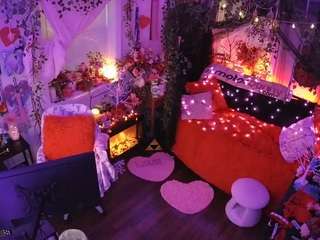 voyeurcam veccasalt 01